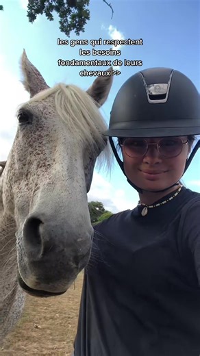 Understanding Horse Needs and Bonding Moments