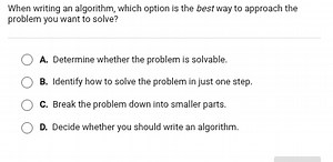 When writing an algorithm, which option is the best way to appr... | Filo