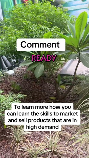 Fully automated sales system and learn the skills to put all of profit in your pocket