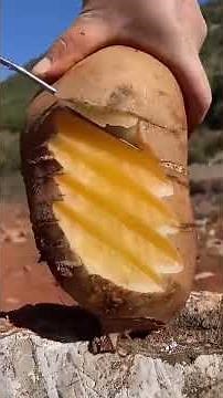 Como Plantar uma Horta Orgânica em Casa Passo a Passo Fácil e Prático"