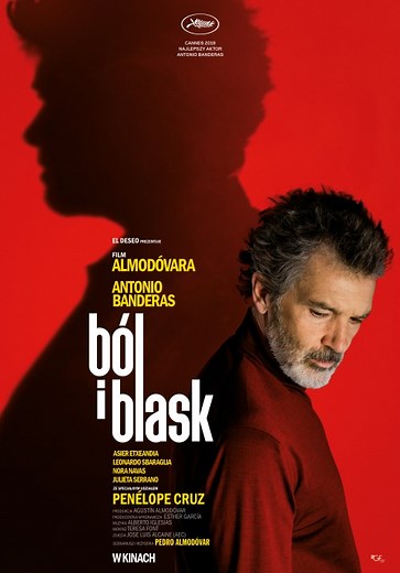 Ból i blask | Film | 2019