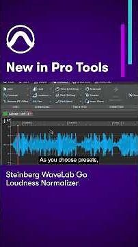NEW IN PRO TOOLS: Steinberg WaveLab Go ARA plugin — Loudness normalizer