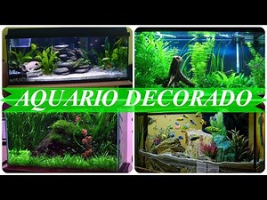 Ideias para decorar aquarios