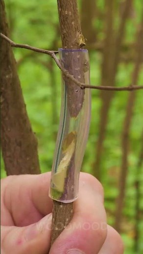 Enten Maken Eenvoudig 🌿 Simpele Tips voor Betere Resultaten