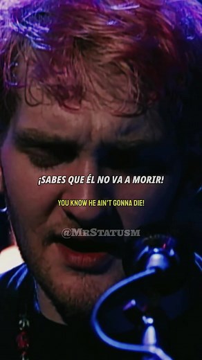 Alice In Chains Rooster - Lyrics, Letra, and More