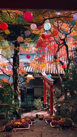 Japan Walker | Yanagitanikannon Yokoku-ji (Kyoto) / 柳谷観音楊谷寺 It was a wonderful temple with a large precinct and beautiful autumn leaves🥰🍁 Filmed in... | Instagram