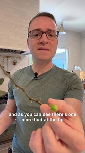 121K views · 1.6K reactions | Some more orchid care tips | Ohio Tropics Houseplant and Garden Care | Facebook