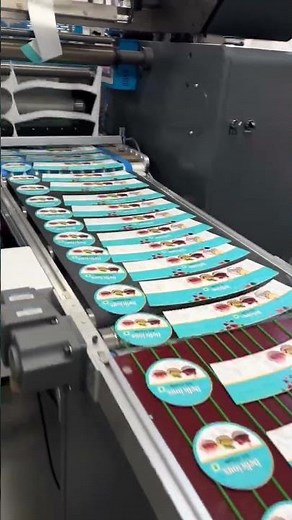 IML Slitter Rewinder Machine Label Die Cutting Machine