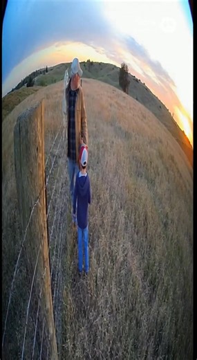A wolf sneaks up behind a grandpa and his grandson—until the guard llama charges in and scares it off. All caught on CCTV. 🦙🔥 | ViralVideos