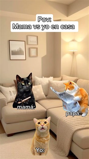 #memekats #gatoslindos #funnycats