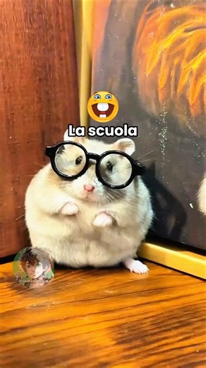 Vita da animali 🐹 EP. 89