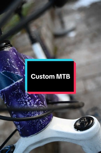 Custom MTB Paint Ideas for the New Year