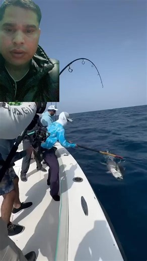 #fishing #automobile #fish #ocean #gopro #참치 #atum #낚시 #マグロ #tuńczyka