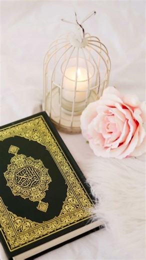 kuran aayet 💚💚💚💚💚