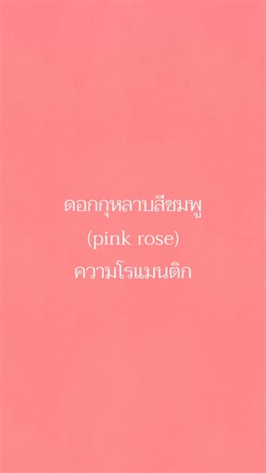 Beautiful Meanings of Pink Roses Explained | Flower Symbolism