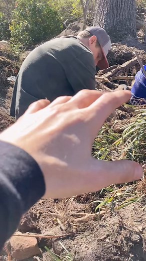 Some more cool finds from the plantation site! #fyp #metaldetecting #history #relics | Endless search