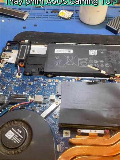 💥 ASUS TUF sau khi vô nước / dùng lâu → phím hư? ❌ Kẹt phím ❌ Mất đèn phím ❌ Không nhận tổ hợp phím 📍 LAPTOP FIX – Thủ Đức ✔️ Thay phím giữ form máy ✔️ Phù hợp cho laptop gaming 📞 không ba sáu năm năm hai bốn ba hai một 📩 Inbox hỗ trợ ngay #thayphimlaptop #asusgaming #laptopfix #thuduc#làngđạihọcthủđức #sửalaptopthủđức #thayphímlaptop #thaymanhinhlaptopthuduc #laptopfix #thủđức