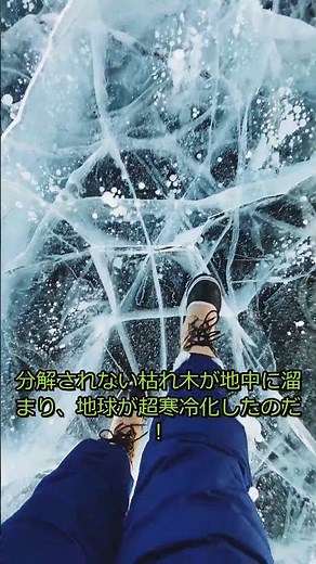【衝撃】２メートルの巨大ヤスデ！？地球を支配したバグ生物の末路なのだ！
