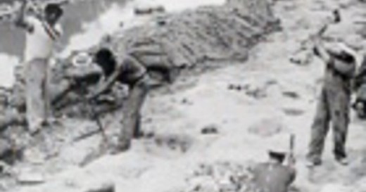 In what kind of environment did dinosaurs live? | AMNH