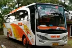 Buat Usaha, Bus Hino Bekas Tipe Jetbus 2 HD Adi Putro - Otomania.com
