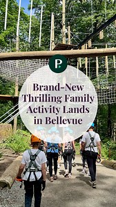 37K views · 1.2K reactions | Warning: High-flying family fun ahead!...