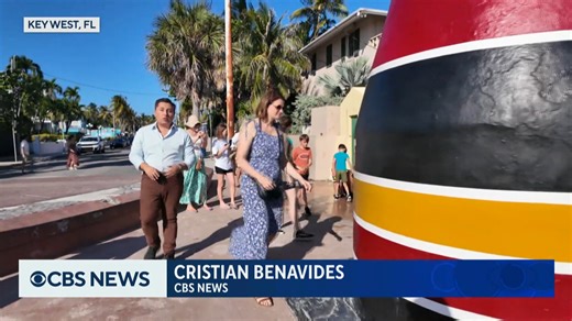 3.9K views · 40 reactions | Feral chickens have found their tropical paradise in Key West, Florida — but the city commissioner isn’t having it. A new law bans residents from feeding the chickens, who could cause property damage, spread disease and crow at all hours. | CBS Evening News | Facebook