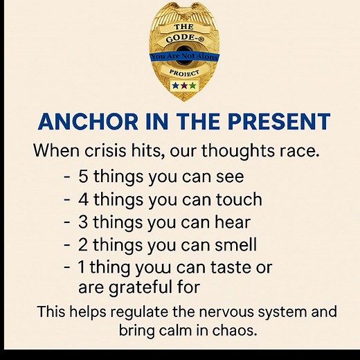 1.4K views · 15 reactions | The Code 9 Project stands with our...