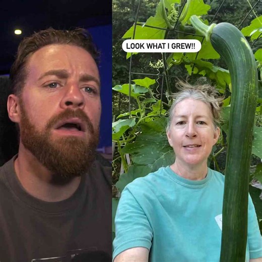 World's Longest Cucumber!