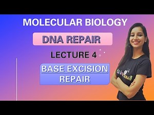 Base Excision Repair in Prokaryotes and Eukaryotes |Molecular Biology| Dna Repair System Lecture 4 Video Lecture | IIT JAM Biotechnology Crash Course