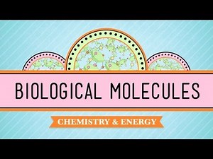 Overview: Biomolecules Video Lecture | Chemistry Class 12 - NEET