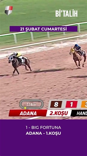Adana'da günün 2. koşusunun son metrelerindeki kıyasıya rekabet...