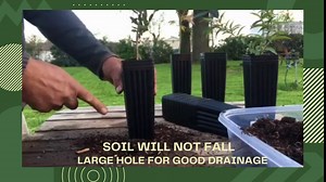 Pots 8 by 4 Seedling Grafting