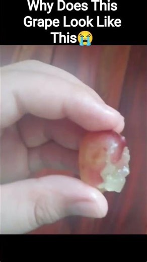 Why Does This Grape Look Like This😭