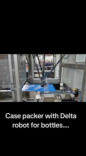 Case Packer with Delta Robot for Bottles