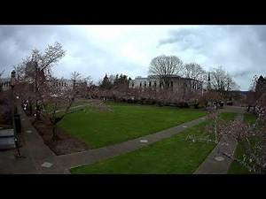State Capitol State Park livestream of the cherry blossoms