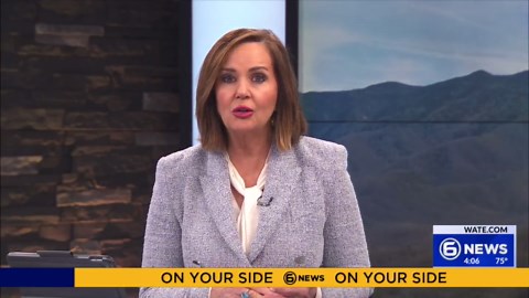 Rural Metro Fire crews train for injured hiker response