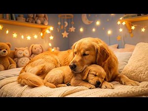 3 Hours of Dog Calming Music 🐶🎵 Deep Sleep Music for Dogs | Separation Anxiety Relief 💤 #dog