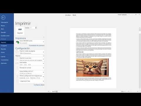 How to print a Word document