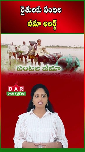 Crop Insurance Premium Deadline Extended: Important Dates for Farmers | Latest updates | DAR FOCUS