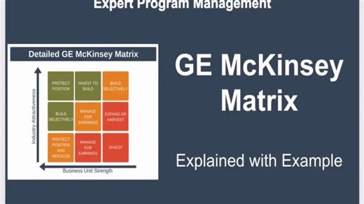 GE McKinsey Matrix | McKinsey Model | GE Matrix | 新田秀一