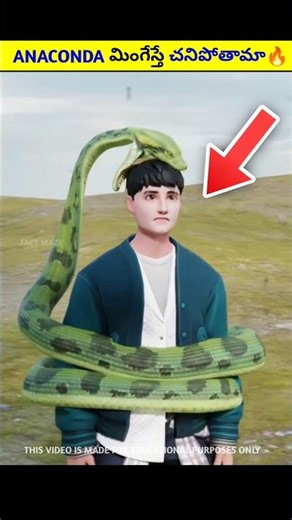 Anaconda మింగేస్తే చనిపోతామా 🔥|#telugufacts #telugu #shorts #viralnews #viral