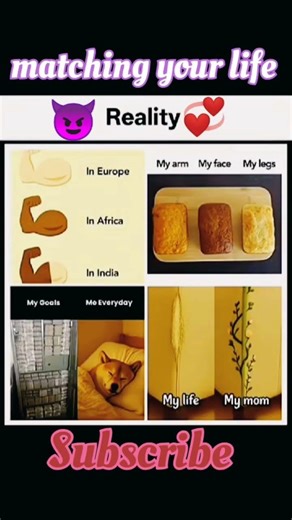 😂reality of your life।।THIS REALITY IS SO FUNNY 🤣🤣 #funny​ #reality​ #reels​ #memes​ #instagramreel