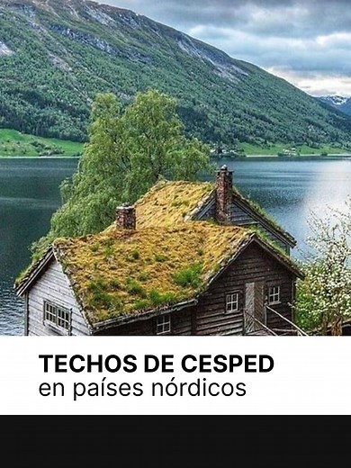¿POR QUÉ LOS NÓRDICOS USAN CÉSPED PARA LOS TECHOS DE SUS CASAS? #arquiteturadeinteriores #arquitectosentiktok #vanzinipropiedades #techosdecesped #cespednatural #jardin