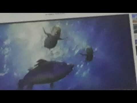 Opening to Space Jam: A New Legacy AMC Theatres (2021)