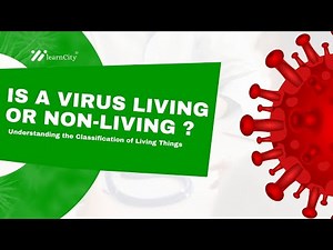 Is a Virus Living or Non-Living? | Understanding the Classification of Living Things