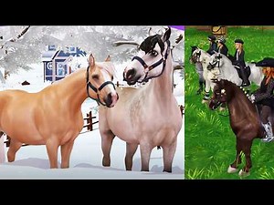 New Horses Next Up In Star Stable