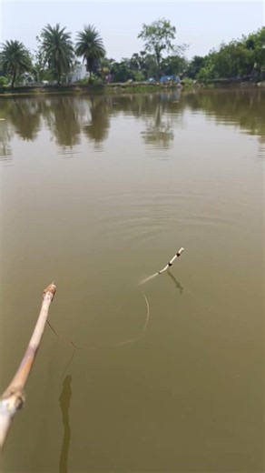 Amazing Unique Float Fishing Video #fishing #fish