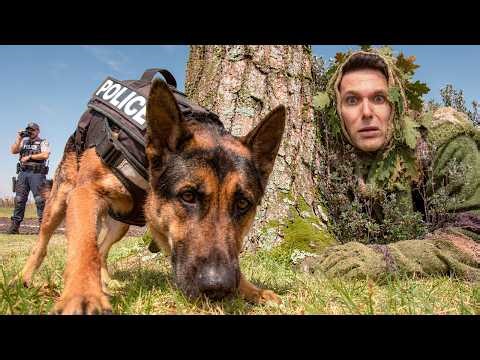 How To Legally Escape A Police Dog