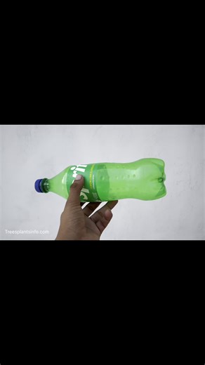 trees plants info on Instagram: "How to make a bird House 🏡 from plastic bottle /DIY bird house from West material tutorial for beginner"