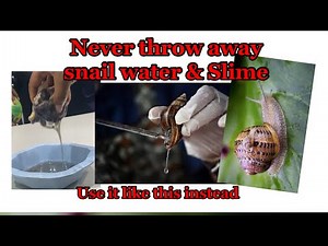 How to use snail water and slime for your skincare